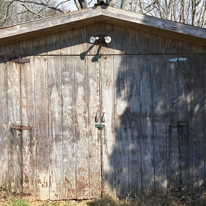 Old Shed