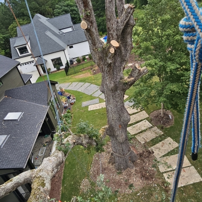 Ariel View