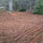 Lawn Care/ Landscaping