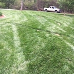 Lawn Care/ Landscaping