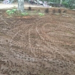 Lawn Care/ Landscaping