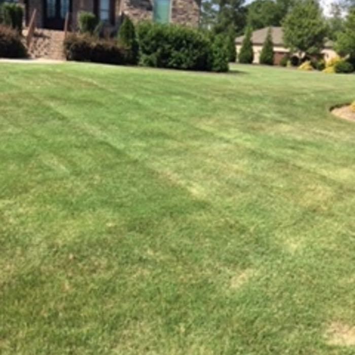 Lawn Care/ Landscaping