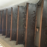 Remodel and Renovations