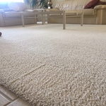 Fluffy Clean, like brand new Carpet!!