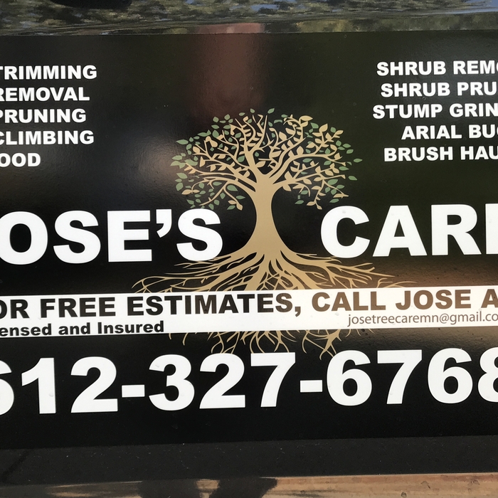 José tree!!