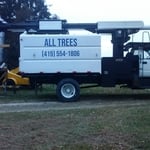Tree work