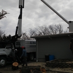 Tree work