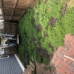 Astro turf install