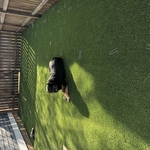Astro turf install