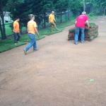 Rolling out the sod.