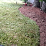 New and instant grass yard with sod install.
