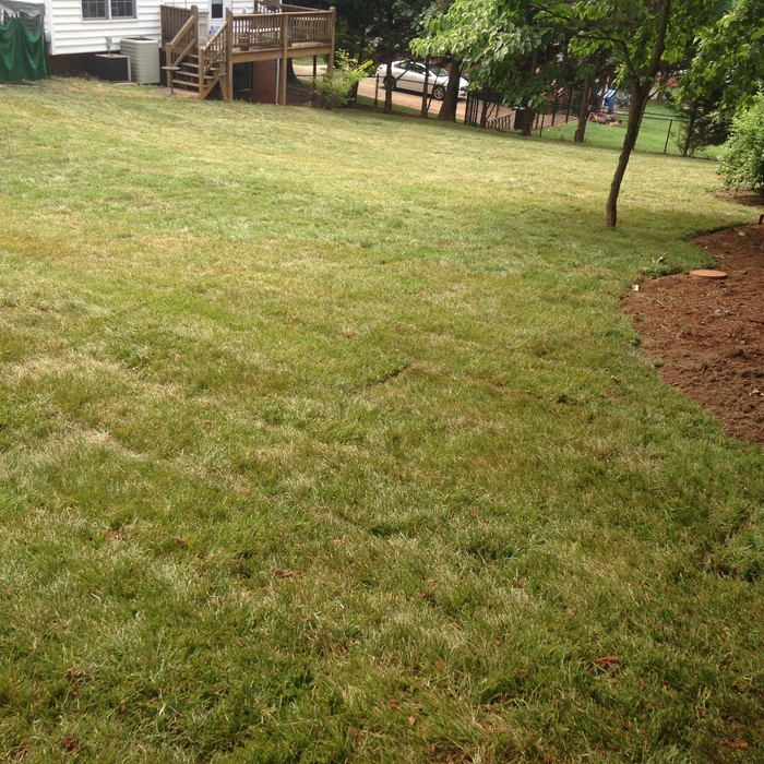 New backyard to be enjoyed by homeowner!