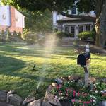 Irrigation Installation