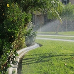 Sprinkler design & installation.