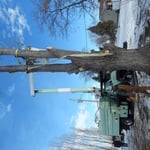 Getting ready to fall