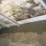 Waterproofed Basement