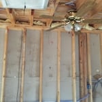 mold