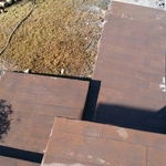 Stamped Concrete