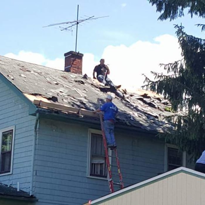 asphalt shingle