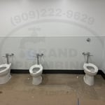 Commercial Bathroom Build
