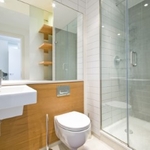Shower Door #1