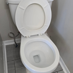 Toilet Cleaning