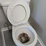 Toilet Cleaning