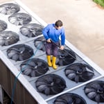 Air Duct Cleaning