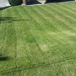 lawn mowing