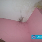 Soot webs
