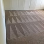 Carpet Cleaning Master Bedroom