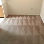 Carpet Cleaning Dinning Room