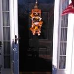 Storm Door