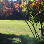 The yard