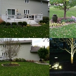 Landscape after one season