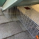 Squirrel Exclusion