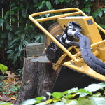 mobile stump grinder fits through gates.