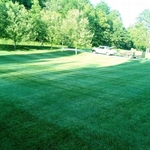 Lawn Care