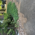 Eastmoreland