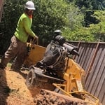 Tree service