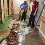Roto-Rooter Plumbing