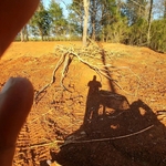 Clearing and Grading future home lots.