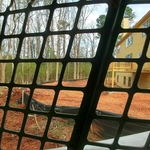 Clearing and Grading future home lots.