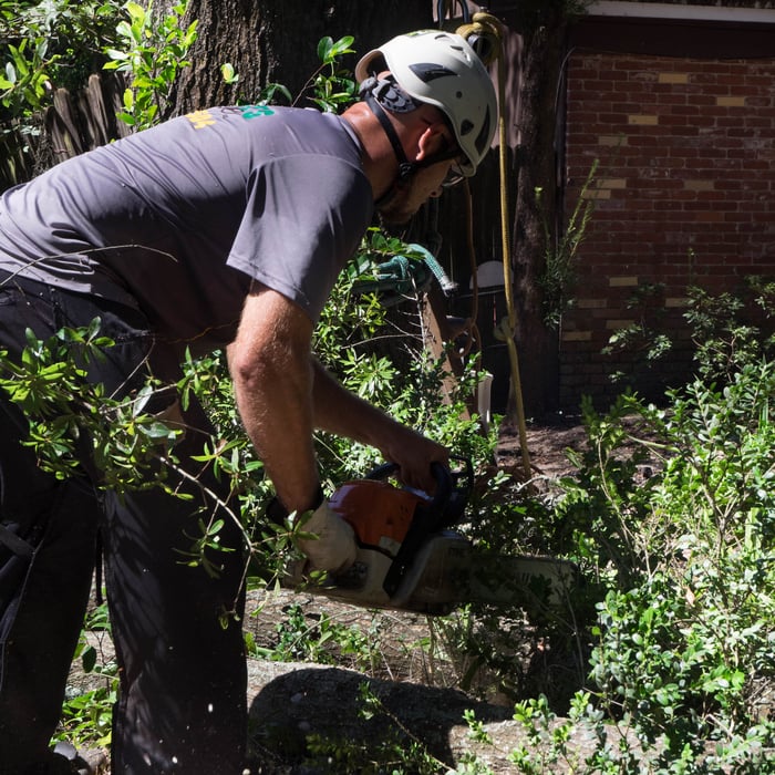 Cleaning and removing Debris
