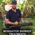 Mosquitoes