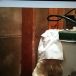 Hot Water Leaking For Several Days.