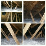 a moldy attic