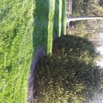 Lawn maintenance