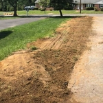 Clean up of yard