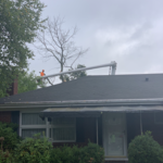 Above the roof
